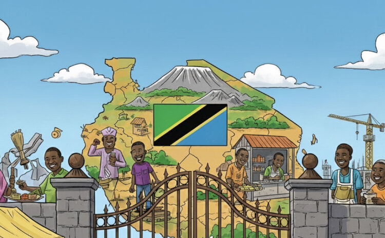Business Licensing (Prohibition of Business Activities for Non-Citizens in Tanzania) Order : A Month in Operation